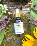 Chaga Face and Eye Lift Serum